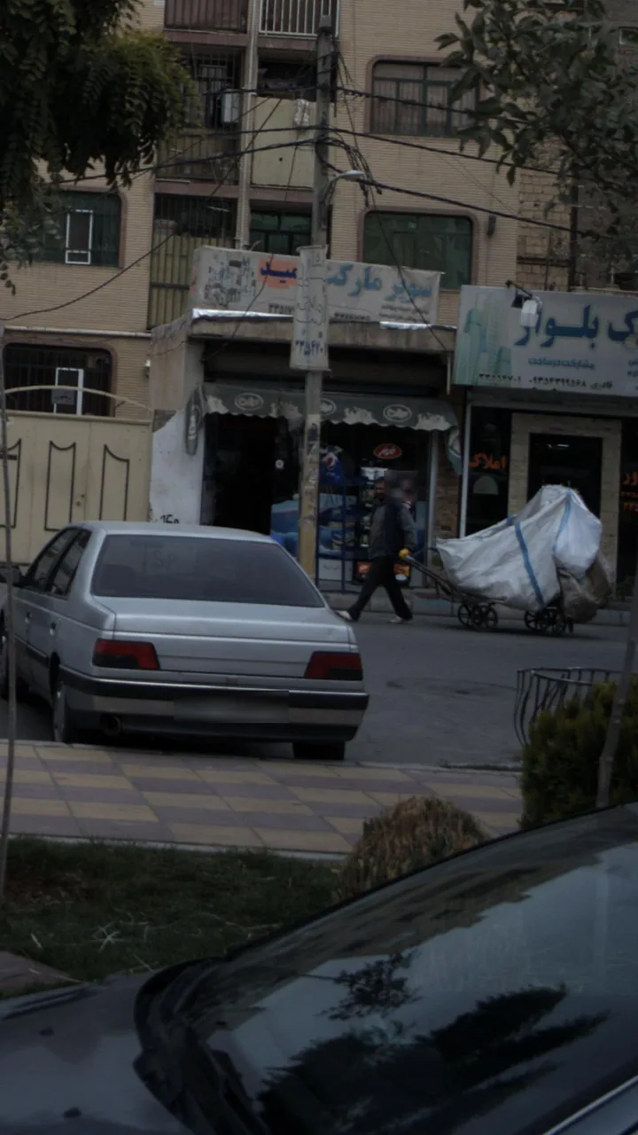 سوپرمارکت گندم - تصویر 2