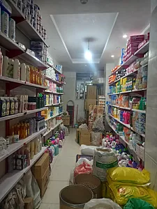 ارزانسرای ایلیا بخشی