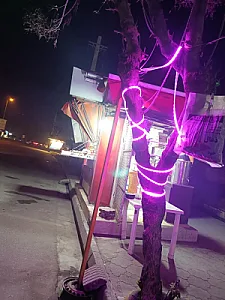 مینی مارکت