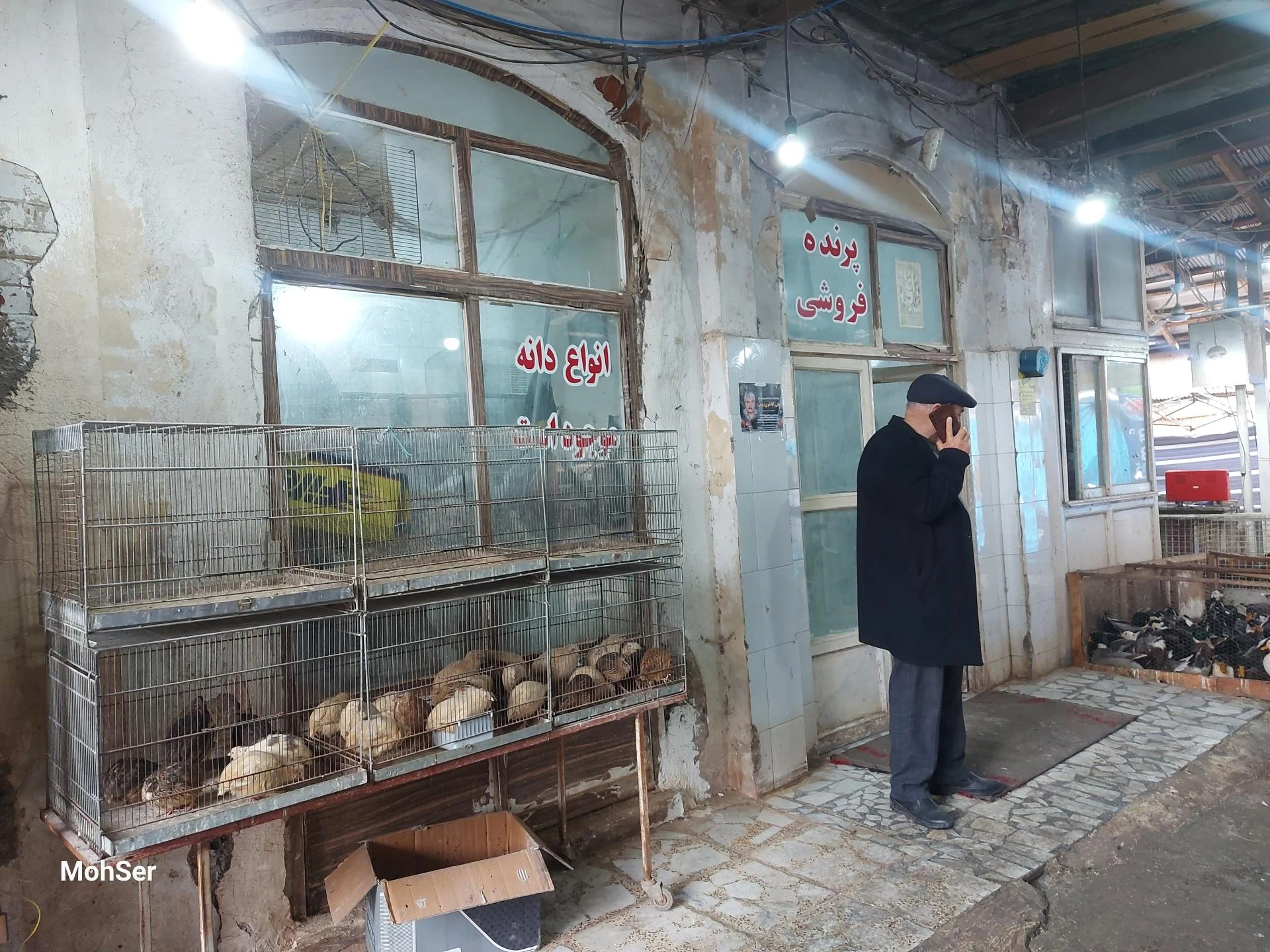 سرای سعادت