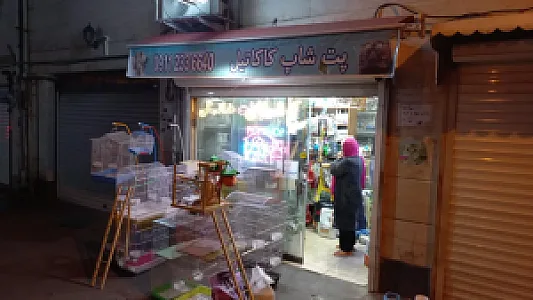 پت شاپ کاکاتیل