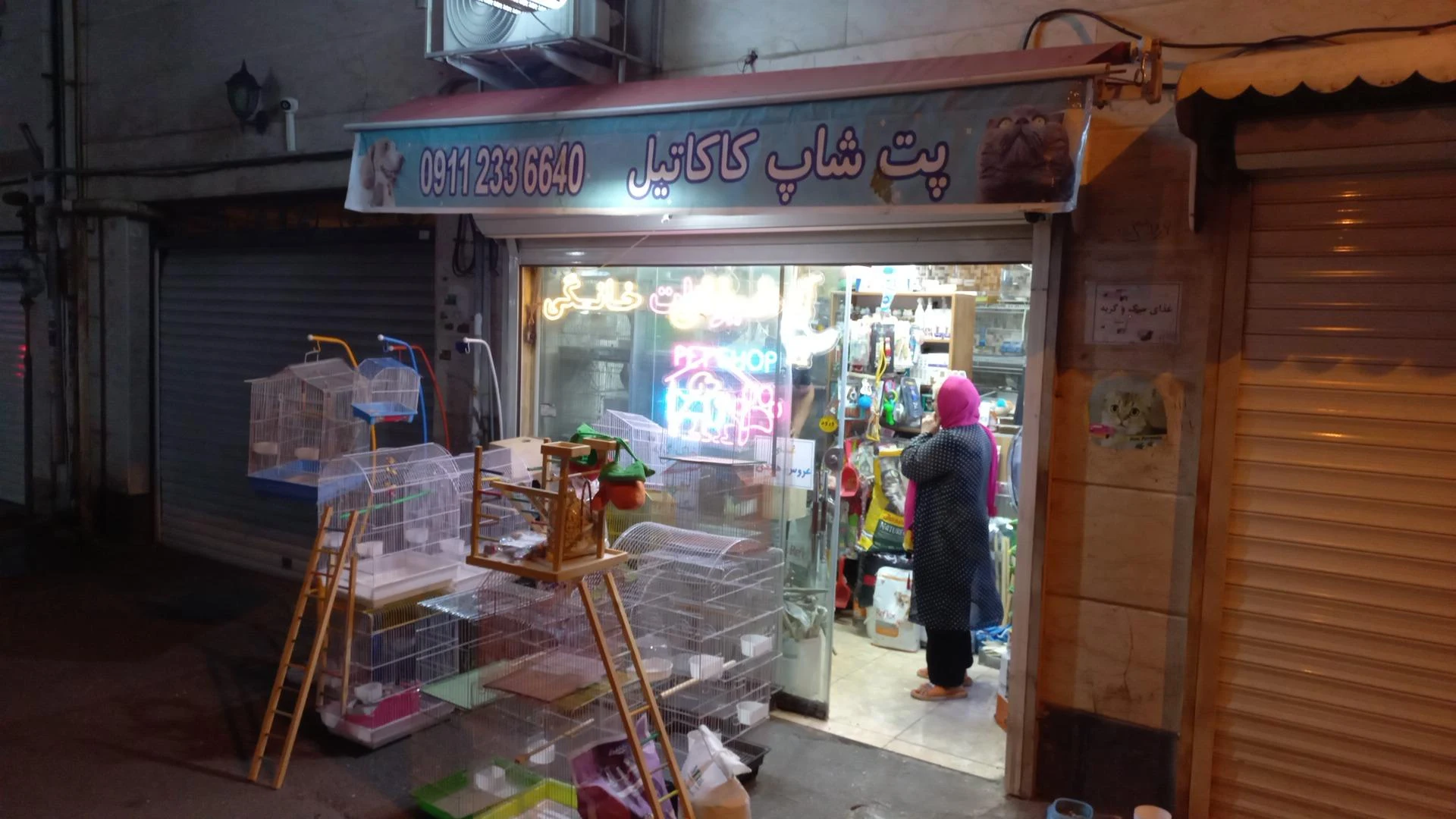 پت شاپ کاکاتیل