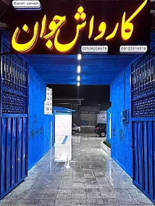 کارواش جوان