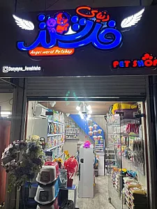 پت شاپ دنیای فرشته ها