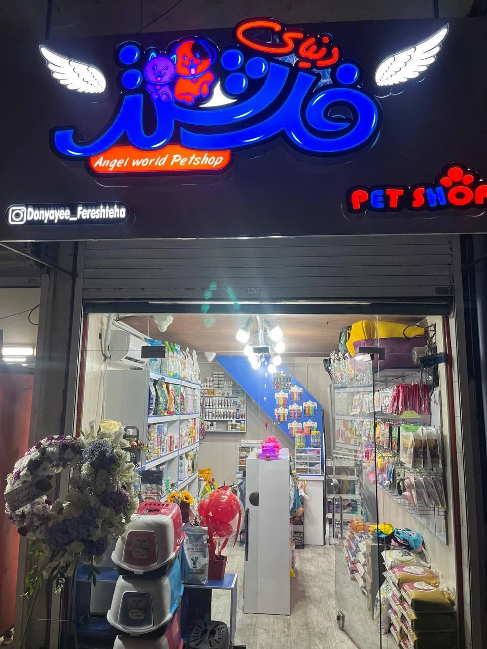 پت شاپ دنیای فرشته ها