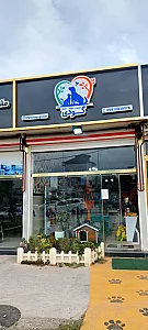 پت شاپ گودی