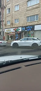 پت شاپ پتی