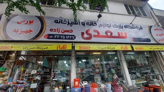 پلاسکو سعدی