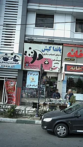 پاندا کیش