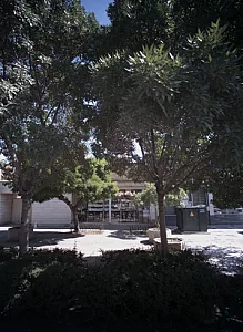 فروشگاه نمازی خواه