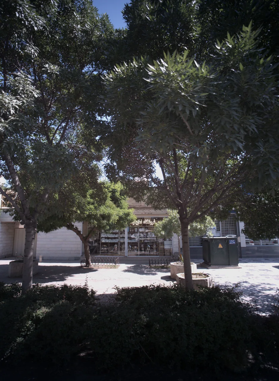 فروشگاه نمازی خواه