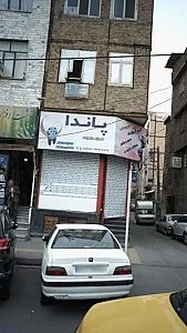پاندا