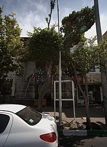 فروشگاه دائمی