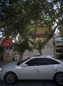 فروشگاه لوازم خانگی ابراهیمی