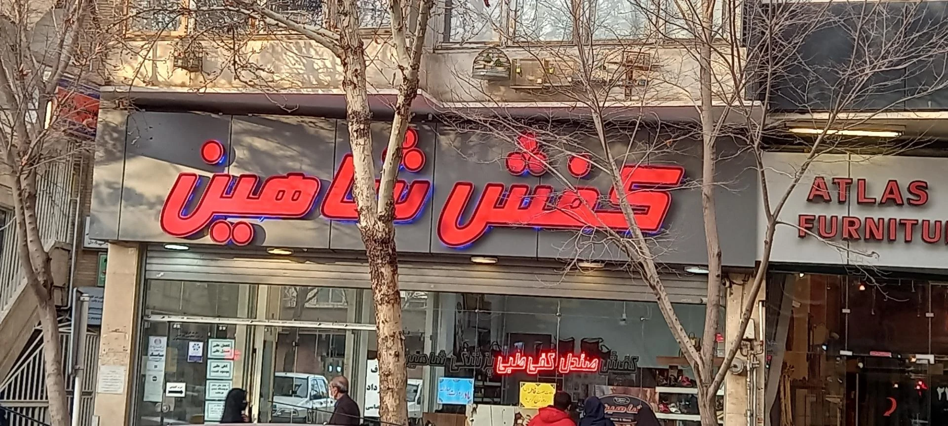 کفش شاهین - تصویر 2