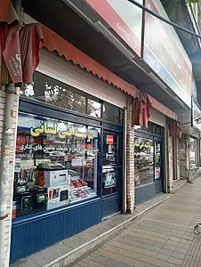 موسسه فنی لسانی