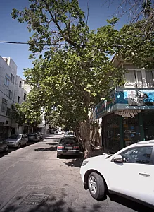 فروشگاه لوازم خانگی نور توس