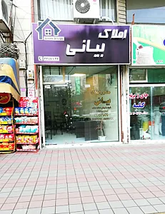 مشاور املاک بیانی