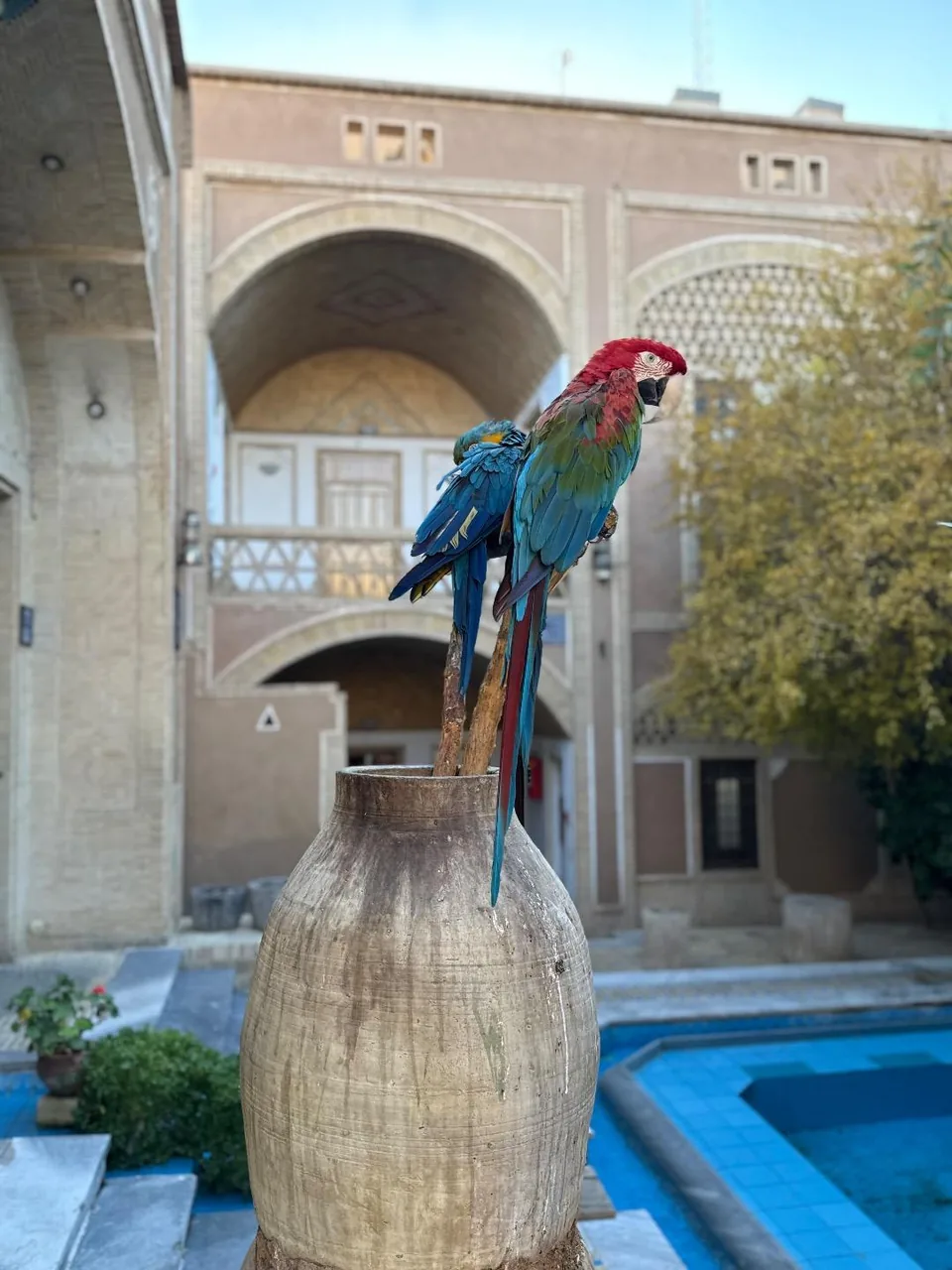 رستوران مشیرالممالک - تصویر 2