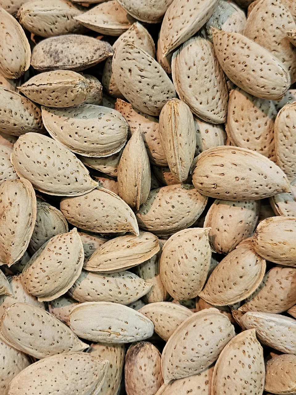 خرما و خواربار رحمتی - تصویر 3