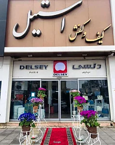 کیف و کفش استیل