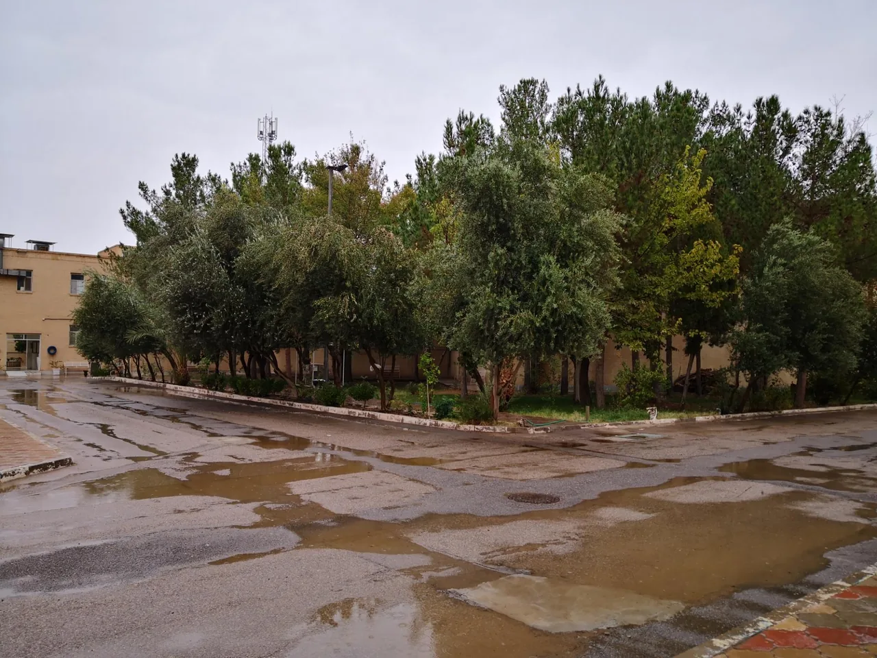 خوابگاه دخترانه پیراپزشکی - خوابگاه و پانسیون در یزد - تصویر 5