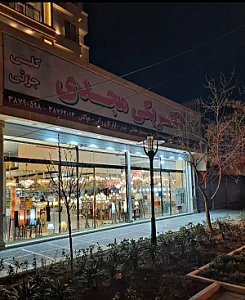 الکتریکی مجدی