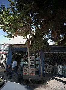 الکتریکی نورافشان