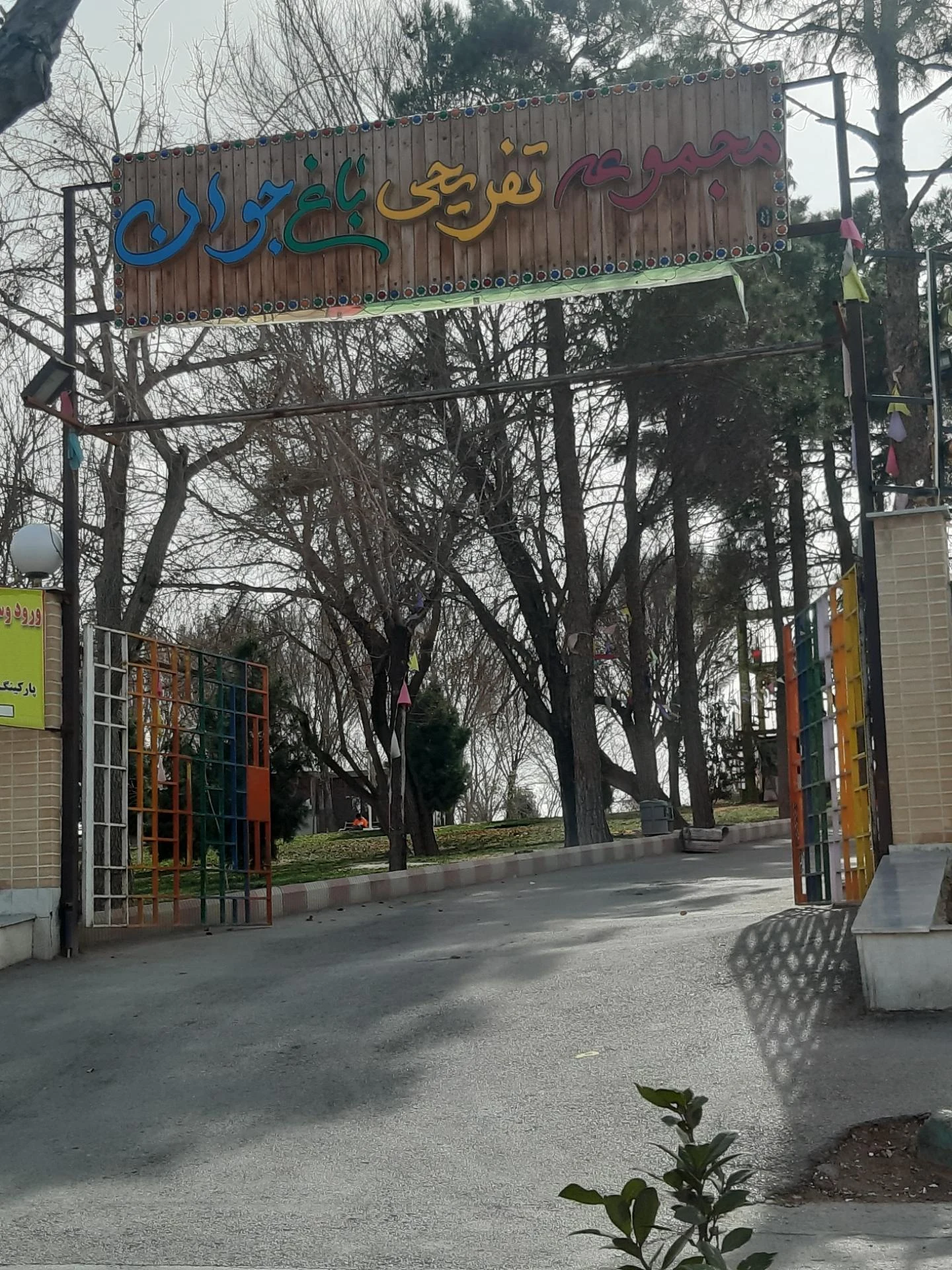 کارتینگ جنگلی جوان