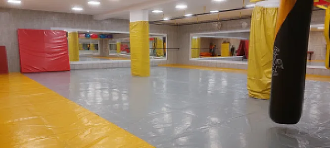 باشگاه ورزشی شاهین