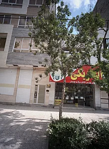 الکتریکی