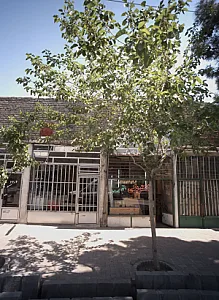 کالای برق بنی اسدی