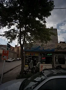 الکتریکی