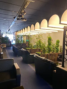 کافه آقای قهوه