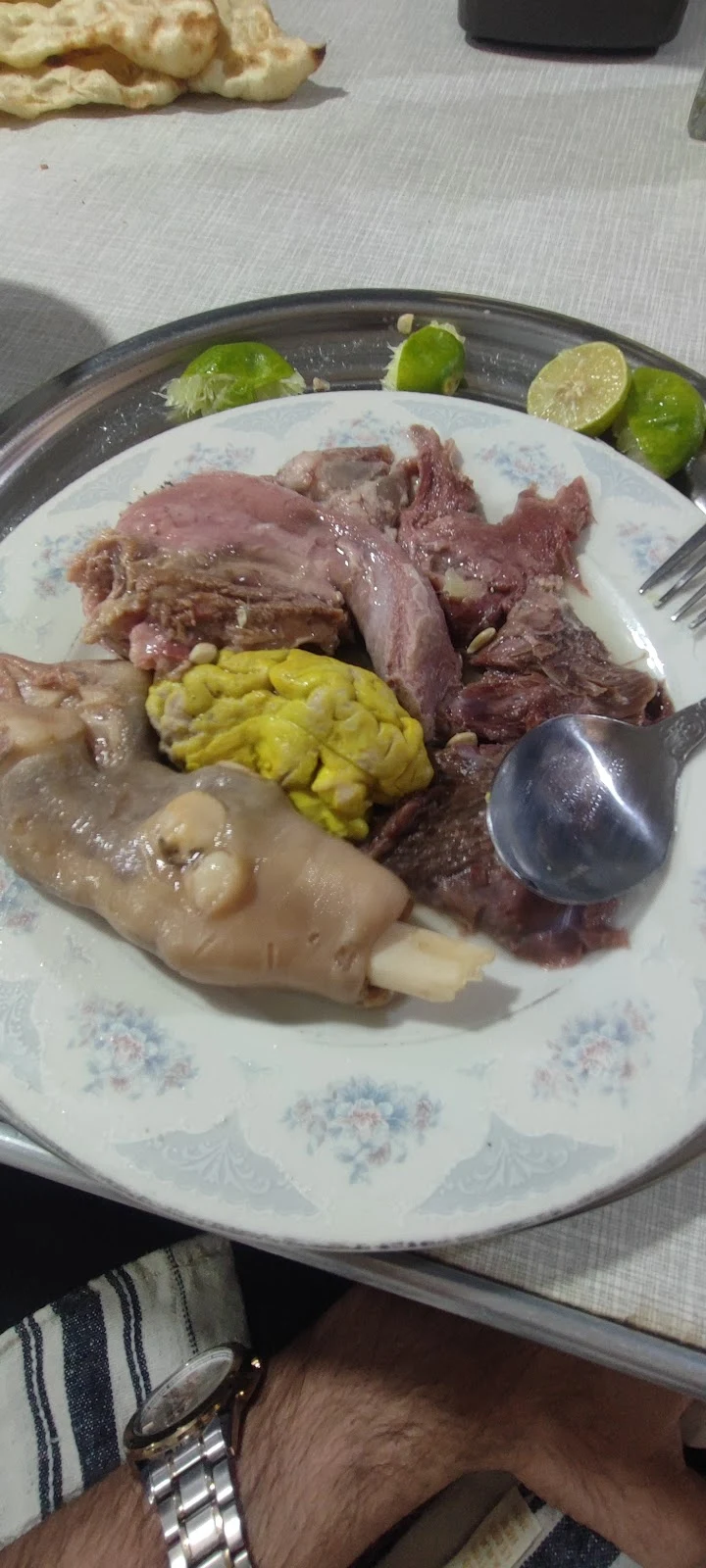 طباخی خوش‌زبان