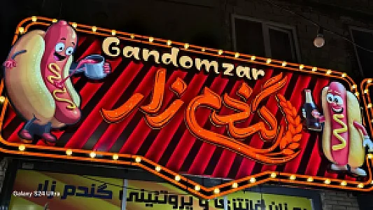 نان فانتزی و پروتئینی گندم زار