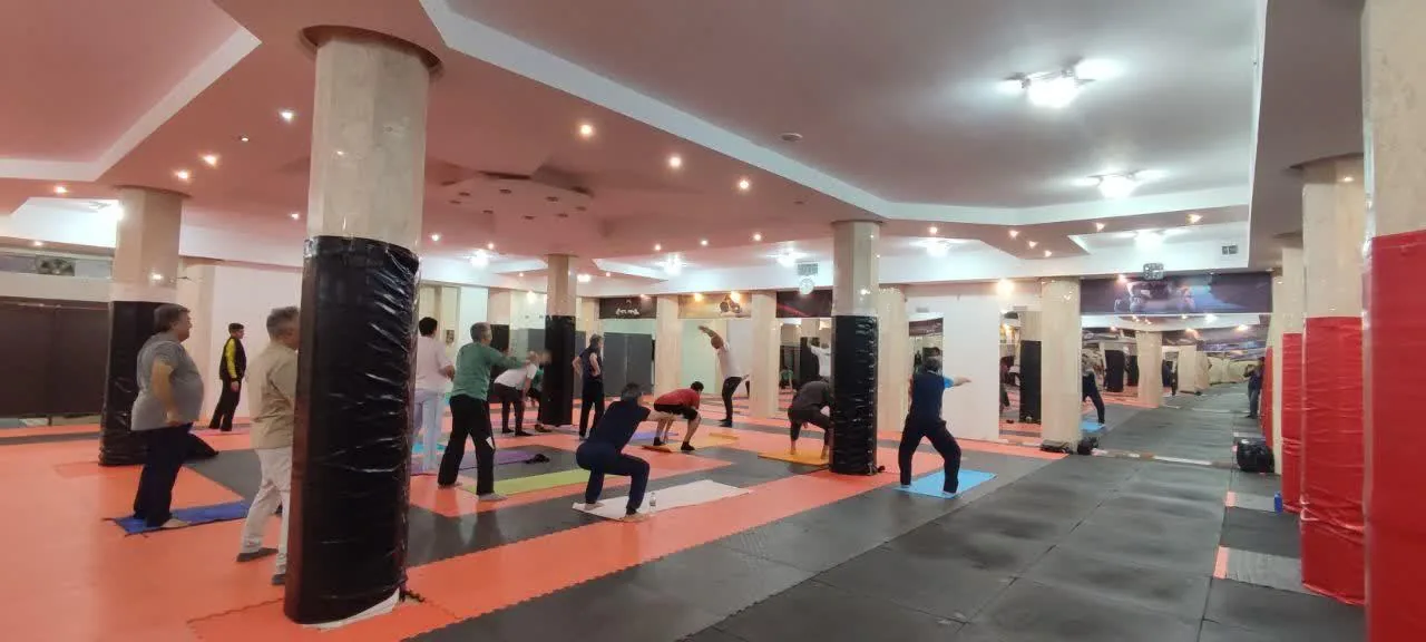 باشگاه آساورزش - تصویر 3