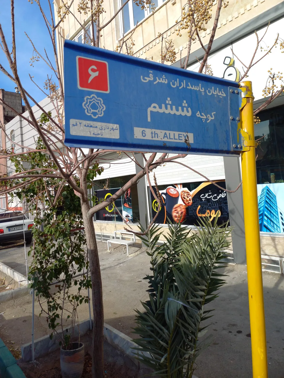کافه موما - تصویر 4