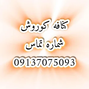 کناف کوروش یزد