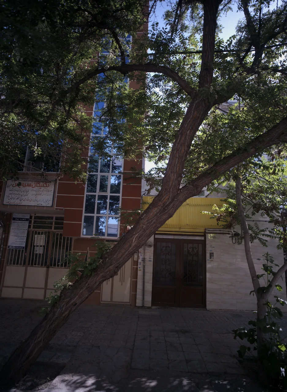 تکنیکال سرویس