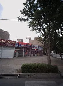پارس نوین