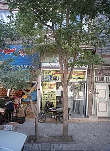 تعمیرات لوازم خانگی جواد