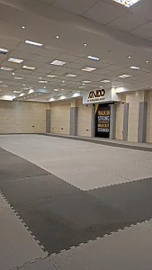آکادمی دفاع شخصی آندو