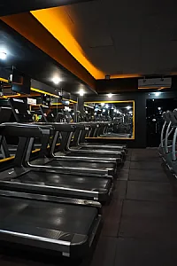 باشگاه بدنسازی جهان نما