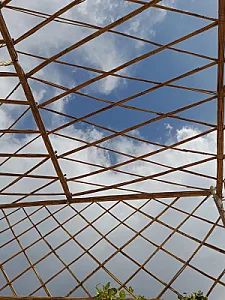 باشگاه شاهین
