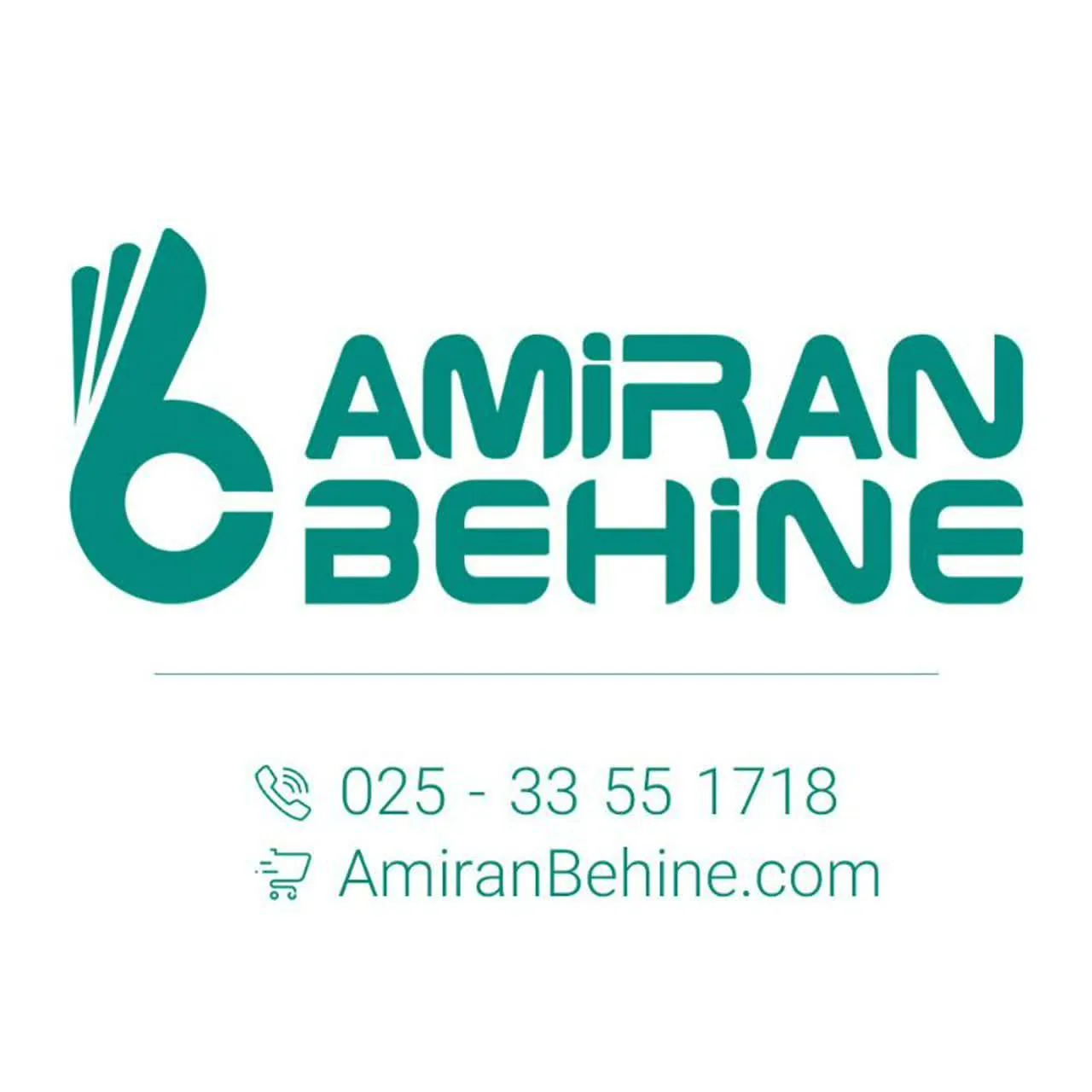 امیران بهینه