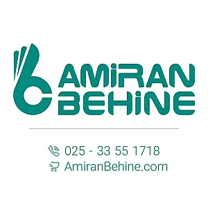امیران بهینه