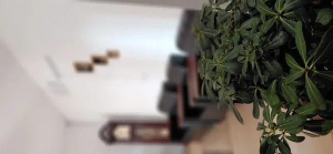 کلینیک روانشناسی آوید