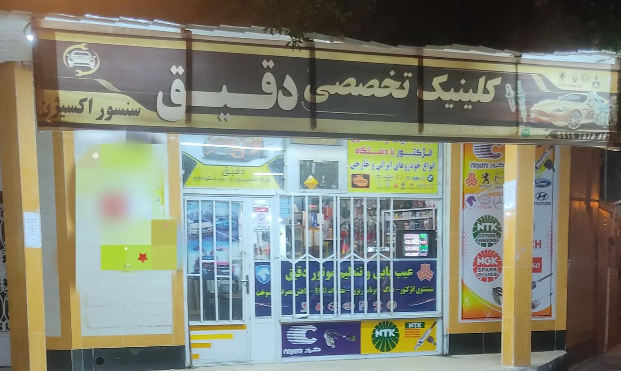 تنظیم موتور دقیق مهدی سلامی - تصویر 3