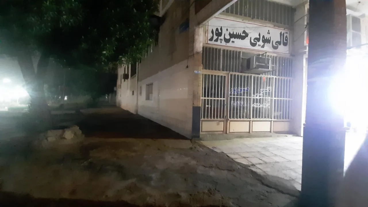 قالیشویی حسین پور - تصویر 2